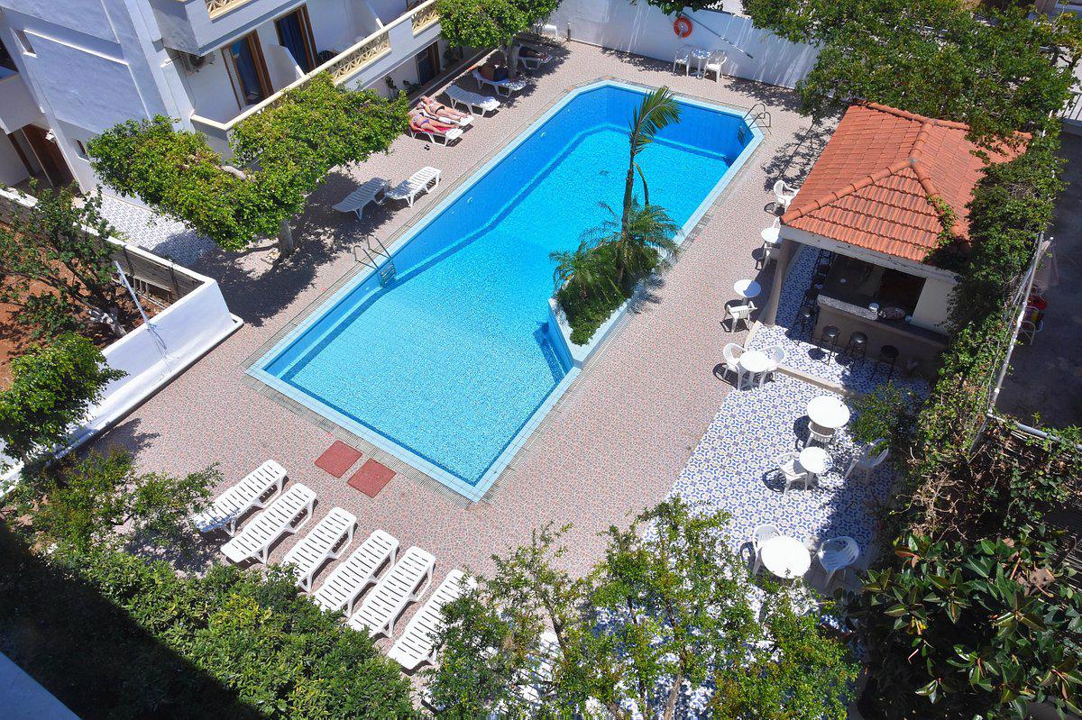 Asana - Afbeelding 3