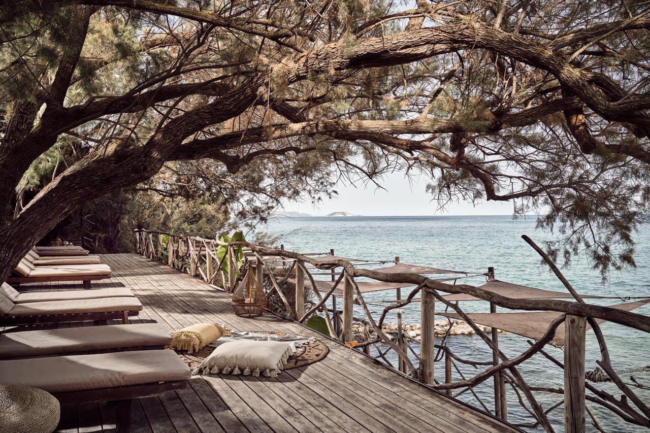 Gloria Maris - Afbeelding 4