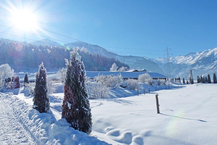 QLIO0ZAHEL4KF9BP3N3PFF3HU6ODLWYM0INGFGWJ