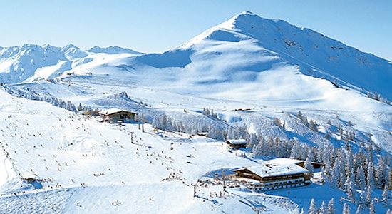 Alphof - Afbeelding 4