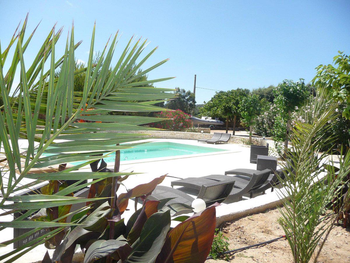 Padolo - Afbeelding 2