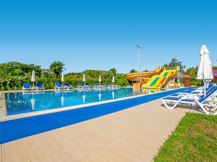 Monachus - Afbeelding 4