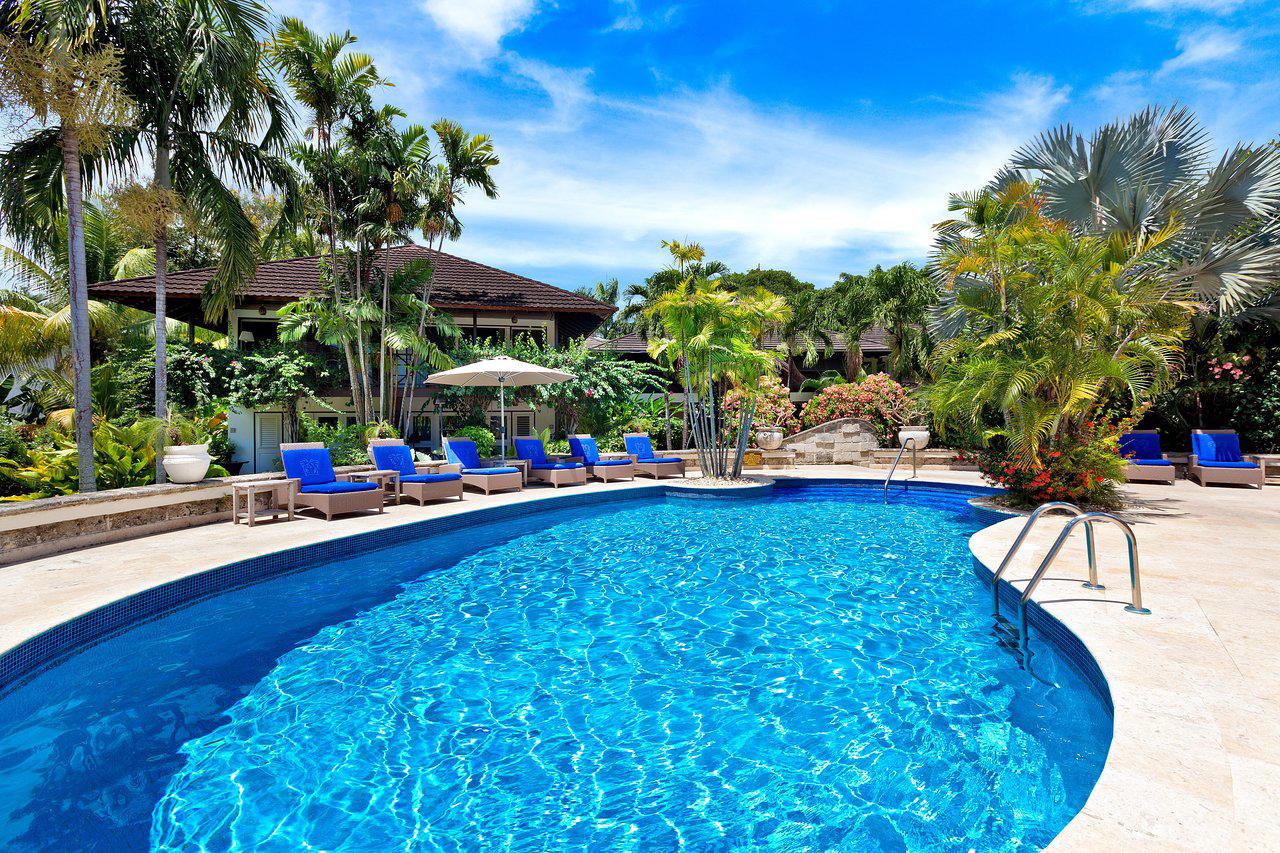 The Sandpiper - Afbeelding 4