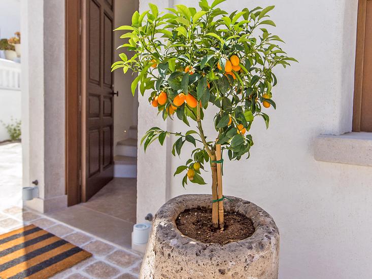 Anagram Boutique - Afbeelding 4