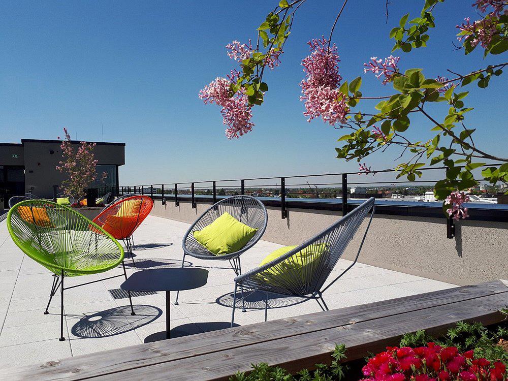 THE FLAG Munchen M. - Afbeelding 3