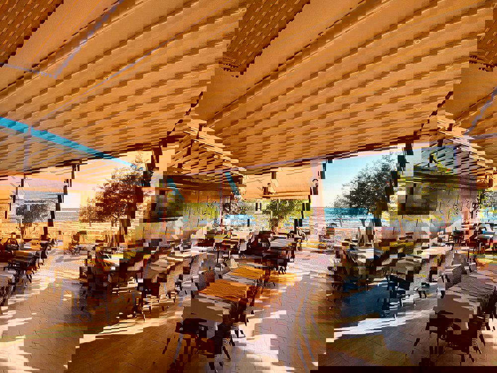 Sunflower - Afbeelding 3