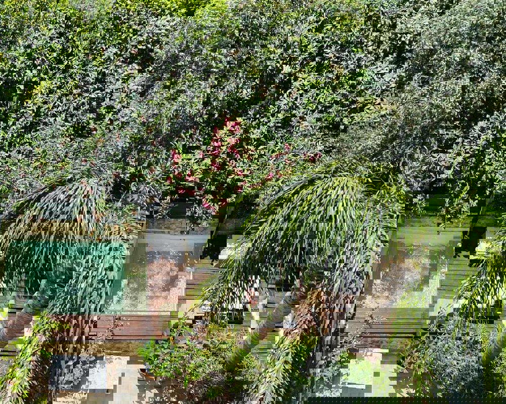 Spirit of the Knights - Afbeelding 2