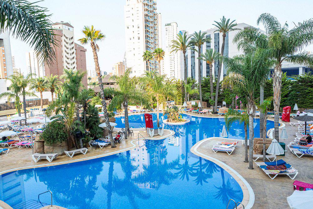 Flamingo Oasis - Afbeelding 3