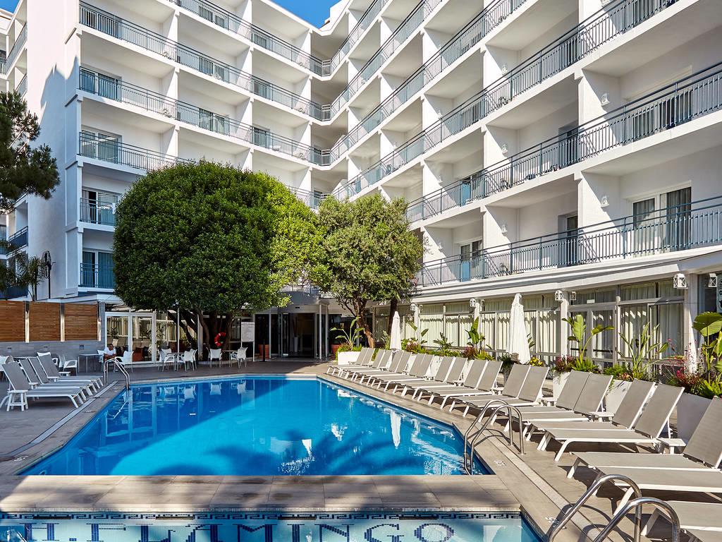 Gran Flamingo - Afbeelding 4