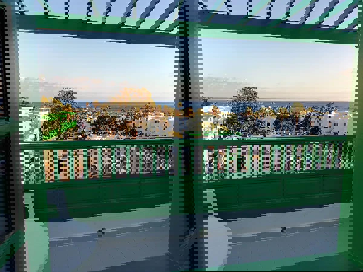 Molino de Guatiza - Afbeelding 3