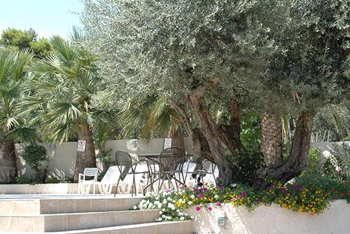 Myrto - Afbeelding 3