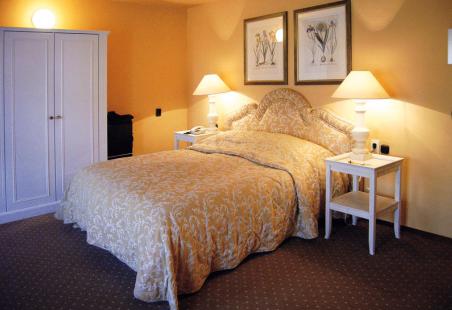 hotel Kasteel Erenstein - Afbeelding 2