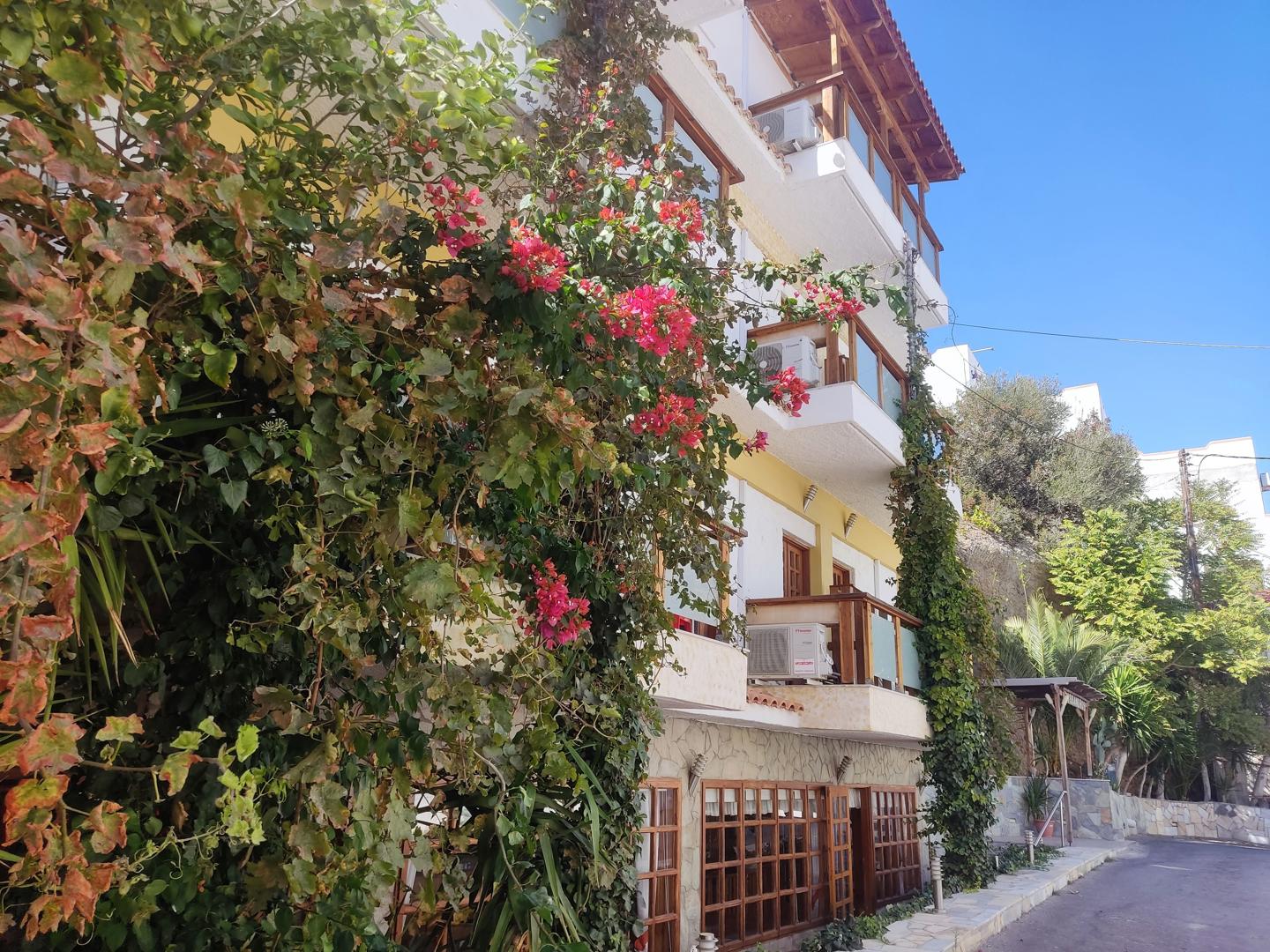 Kissandros - Afbeelding 4