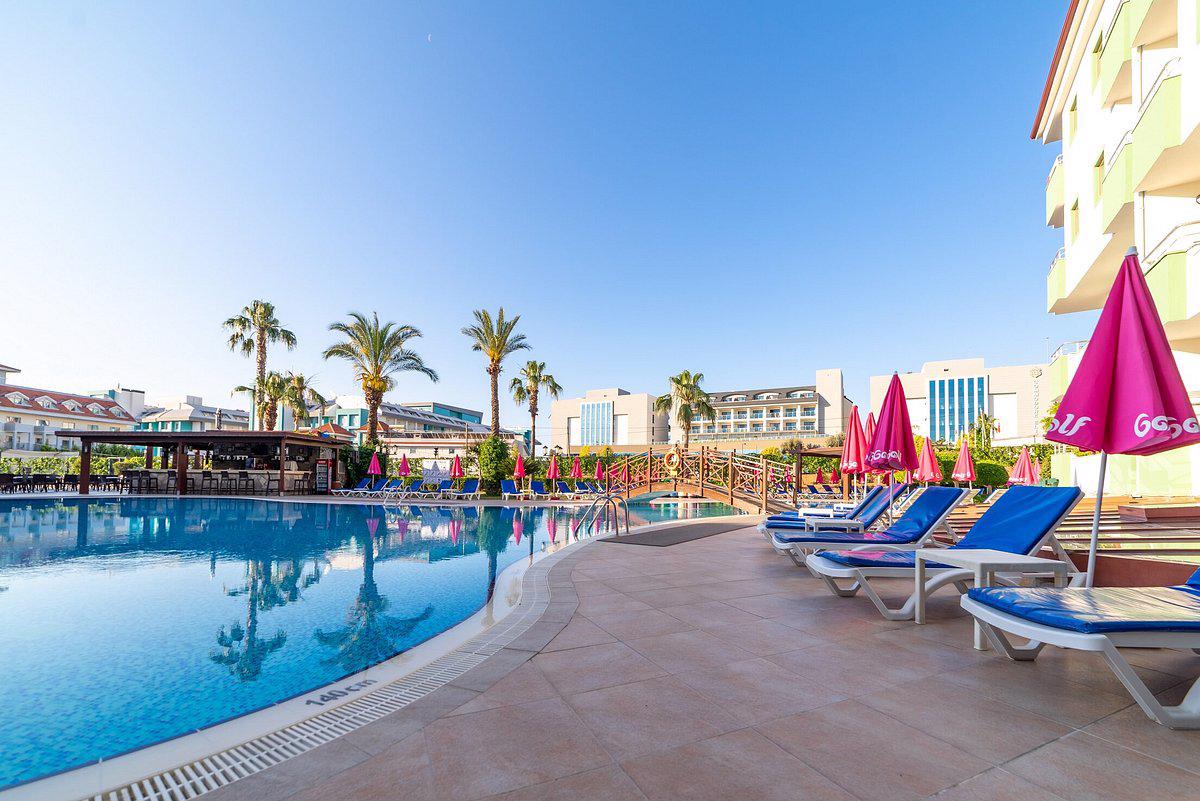 Monachus - Afbeelding 3