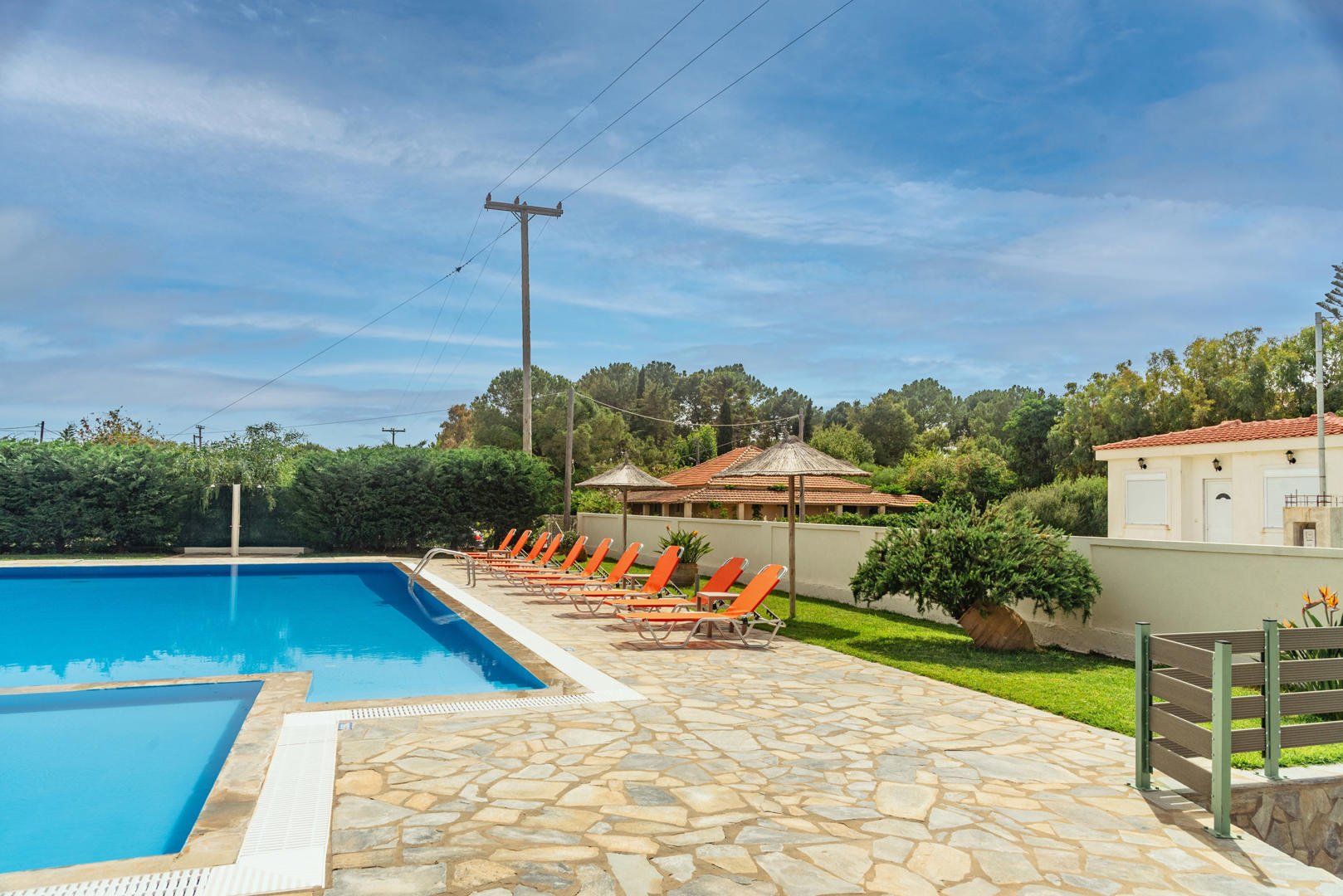 Kamelia - Afbeelding 3