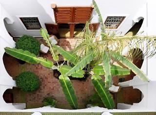 Hotel Riad Les Bougainvilliers - Afbeelding 3