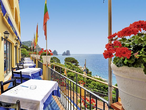 Weber Ambassador - Afbeelding 2