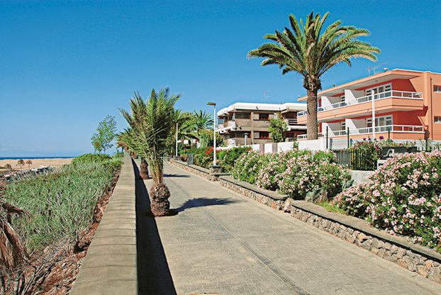 Horizonte - Afbeelding 4