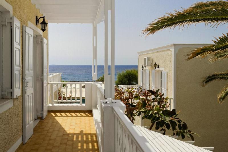 Dolphins - Afbeelding 3