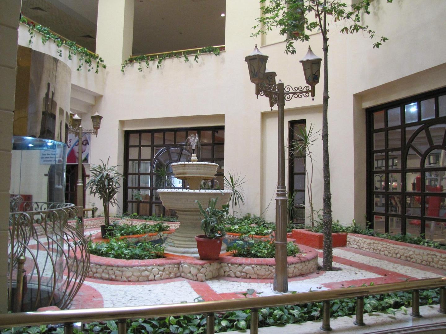 Dexon Roma - Afbeelding 3