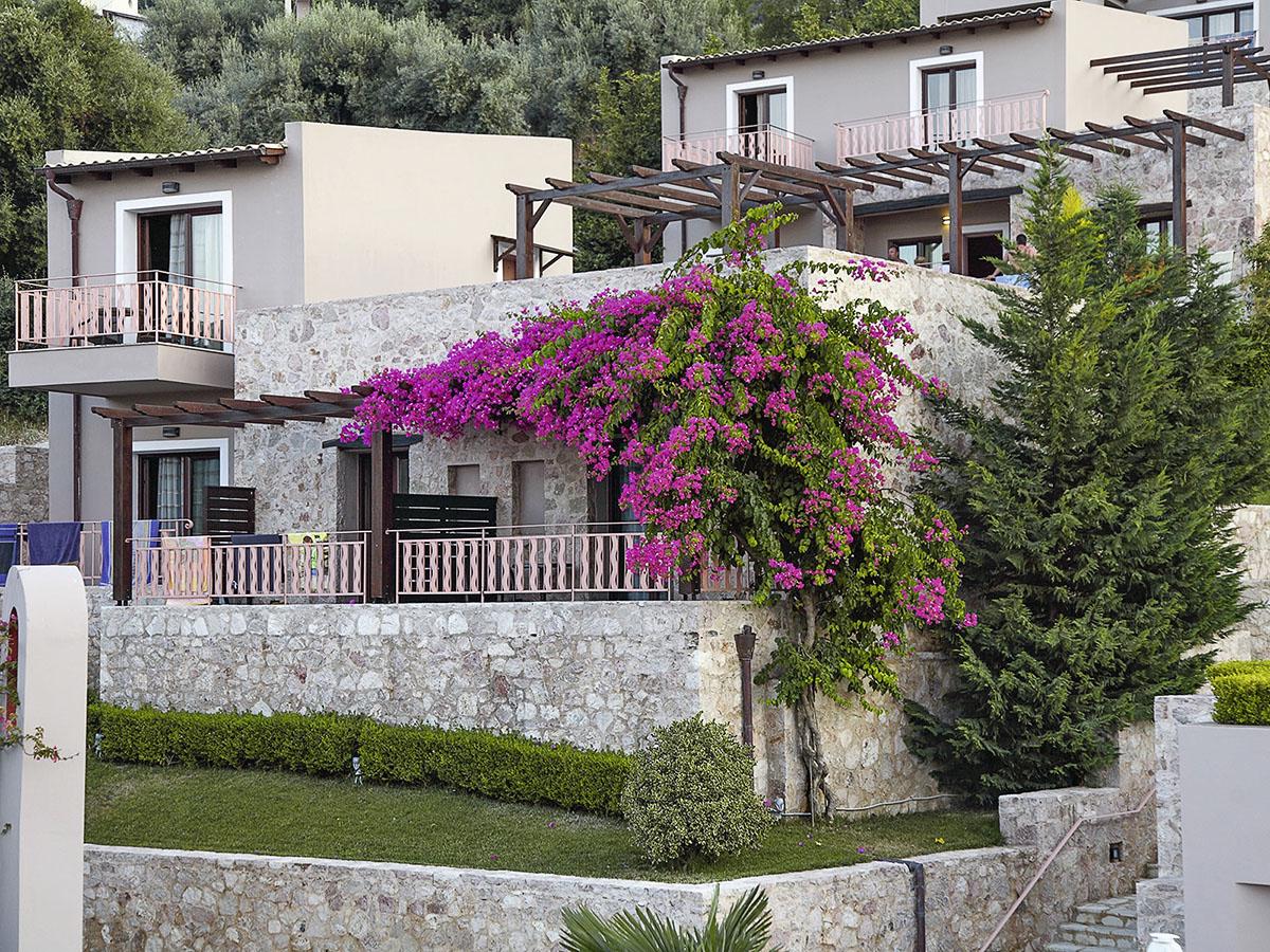 Tesoro - Afbeelding 2