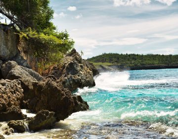 Beach,On,Caribbean,Island,Of,Bonaire,,Good,Snorkel,Dive,Site
