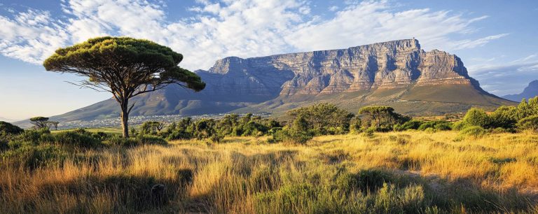 south_africa